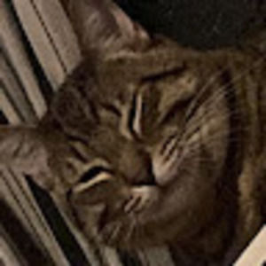 Meet your Posher, Arturo